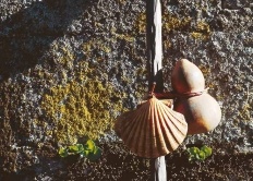 Tag 10 l Tag 3 I Nájera - Santo Domingo de la Calzada (21 km, 400 Hm)