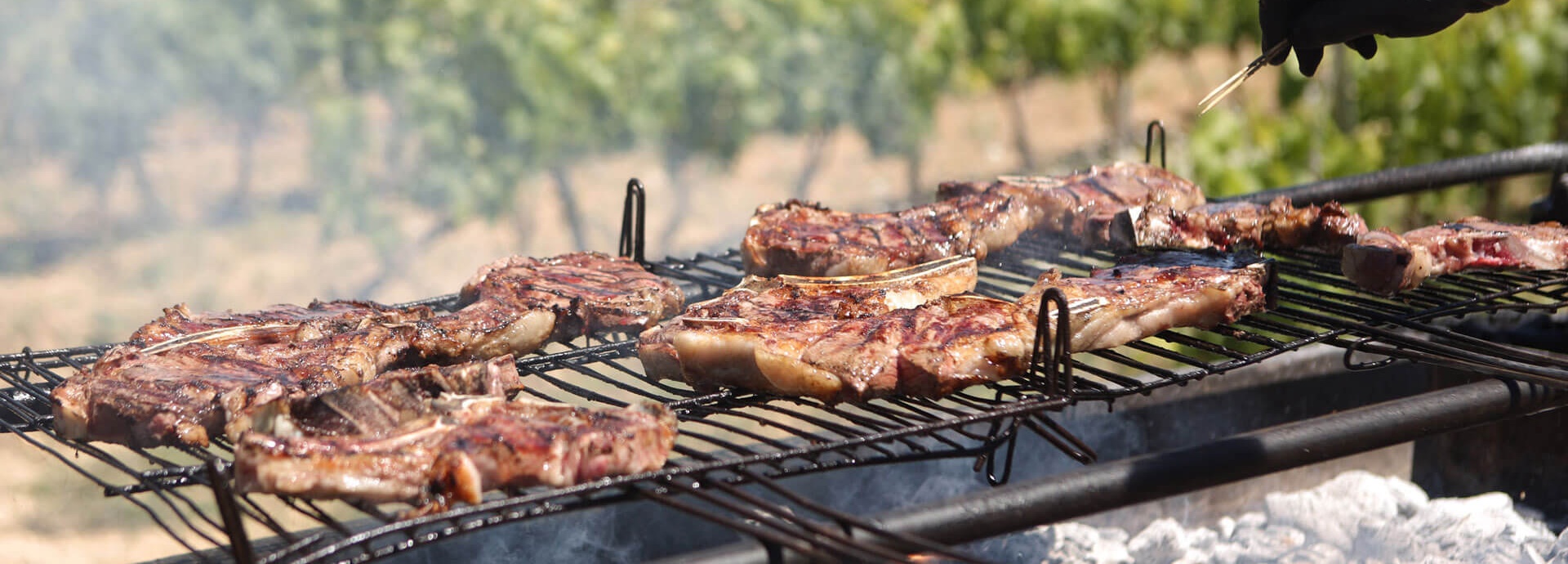 Baskenland – Euskadi zwischen Meer und Gebirge