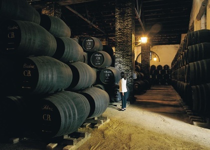 Tag 8 l Weinregion Montilla-Moriles und Weiterreise nach Granada