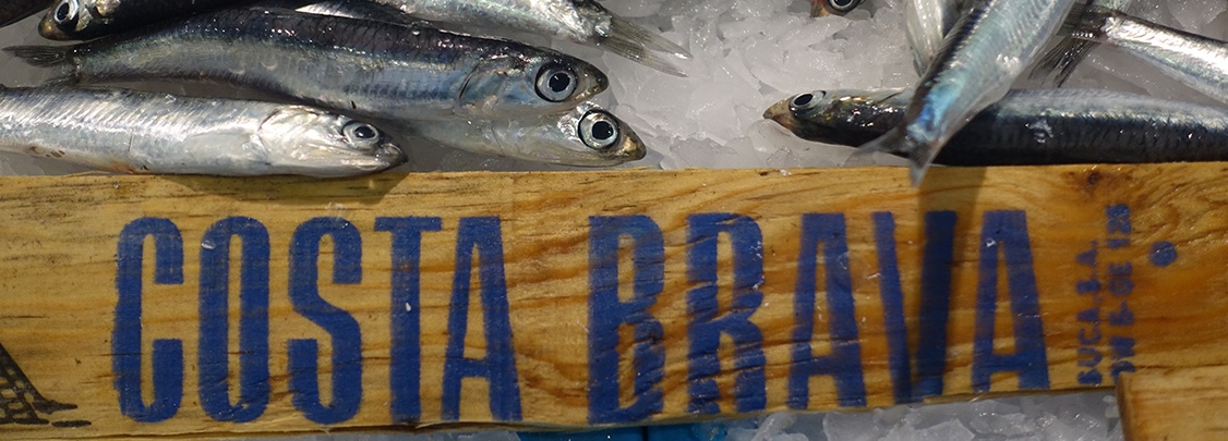 Reise-Inspirationen in Katalonien