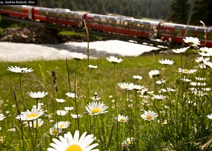 Tag 4 I Abstieg nach Bergün: Vom Gletscherblick zur Kultur der Tiefe