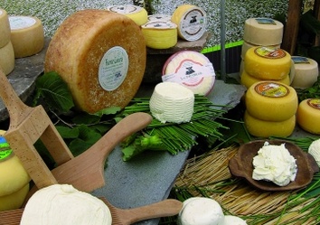 Kulinarischer Stolz der Region – Cabrales-Käse