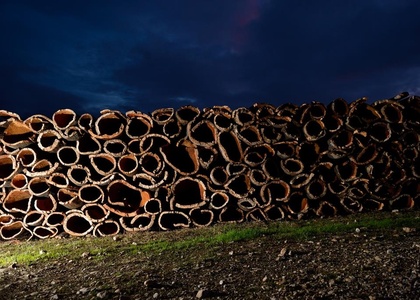 Tag 7 l Region Barrocal