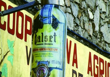 Wein-Cooperative in Falset Wandern und Geniessen im Priorat