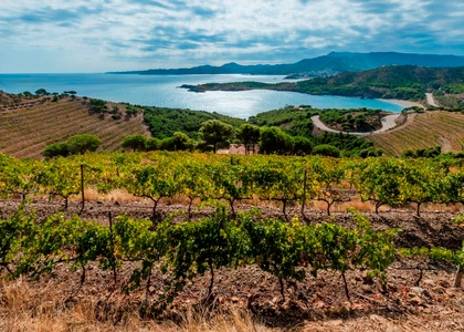 Tag 10 l Die Küste der Künstler: Cadaqués – Collioure – Céret – Mont-Louis