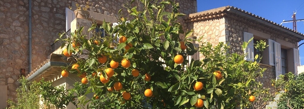 Balearen: Inselhopping Mallorca & Menorca