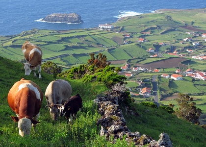 Tag 6 I Von São Jorge nach Flores – Inselwechsel im Westen des Archipels