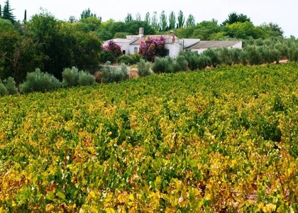 Tag 2 l Entdeckungen in Ronda und Weinerlebnis
