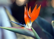 Tag 8 I Individuelle Abreise oder Verlängerung