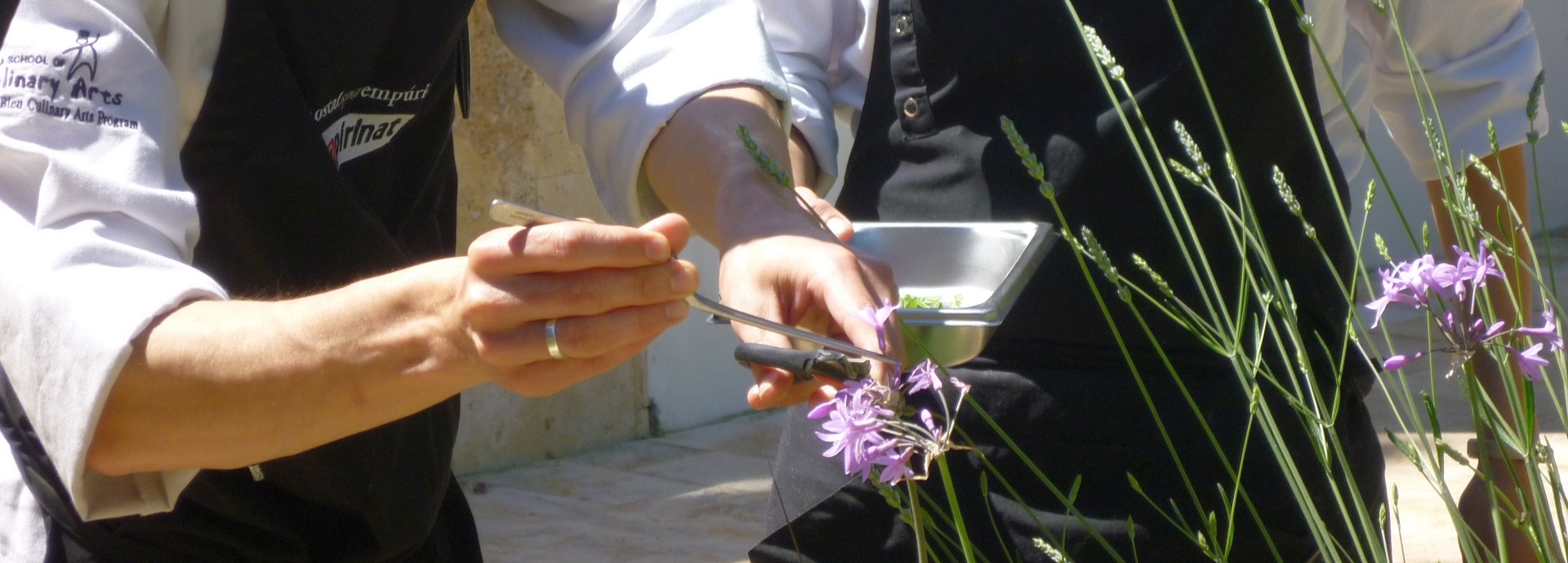 Wein + Kulinarik Genussreisen