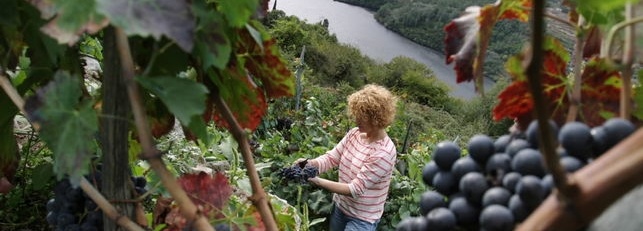 Galicien genussvoll entdecken: Paradores-Reise durch das grüne Weinland