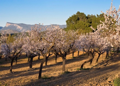 Tag 4 l Granada - Córdoba