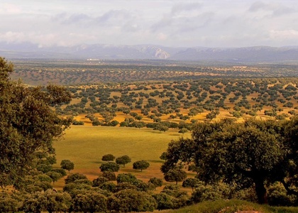 Tag 10 l Dienstag l von Jarandilla de la Vera nach Oropesa