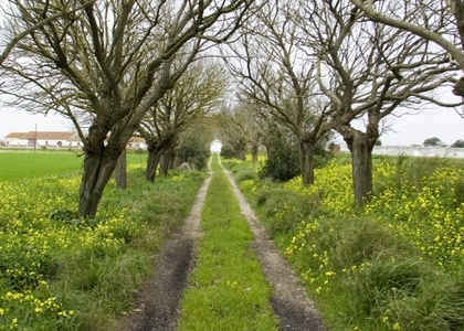 Tag 2 l Porto - Arcos (17,0 km)