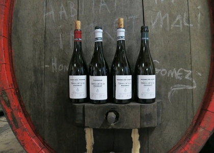 Tag 7 l Das Herz des Priorat