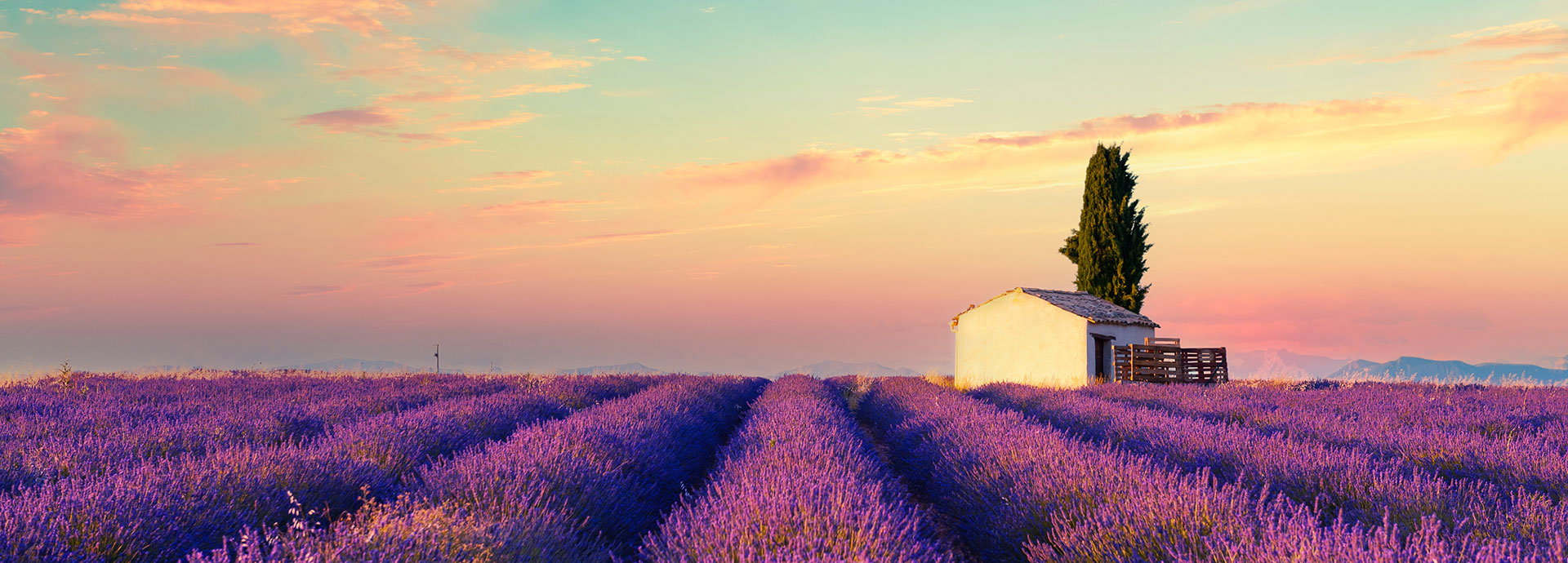 Frankreich – Kultur, Landschaft und Lebenskunst